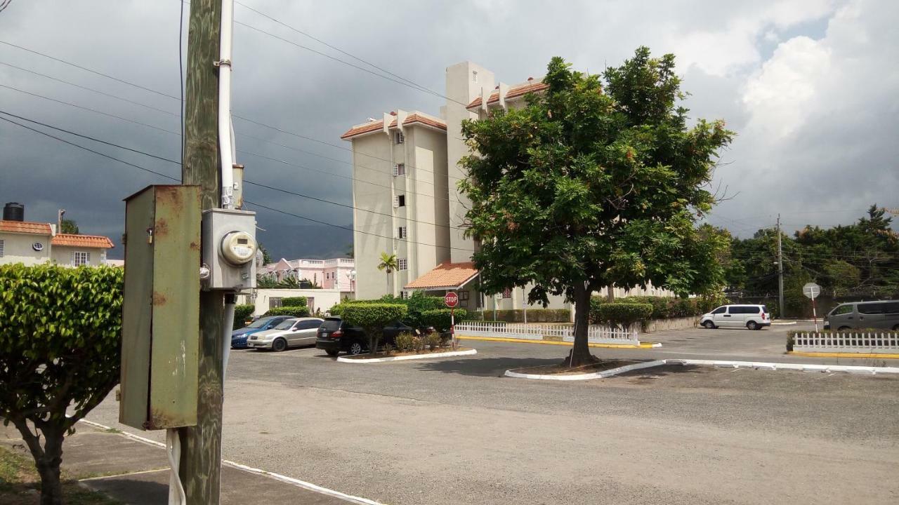 Oaklands Oasis Apartment Kingston Exterior foto